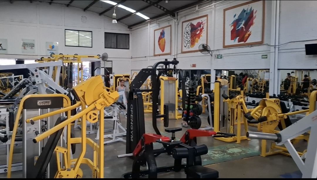 Gimnasio 3