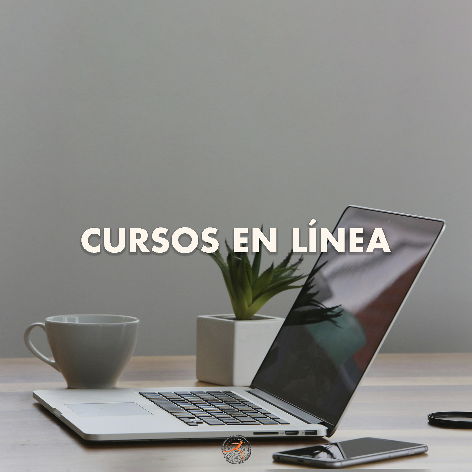 Curso en Línea